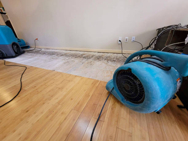 Reliable Basement Flood Cleanup contractor in North, SC by Hirex Water Damage