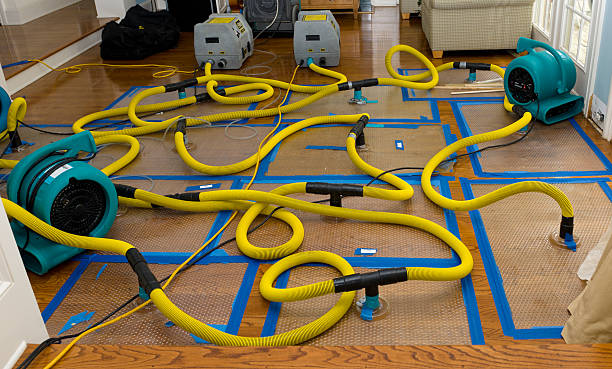 Professional Basement Flood Cleanup technician working in North, SC